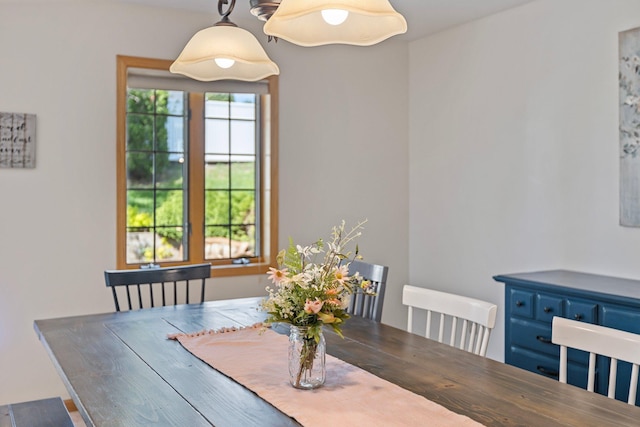 2606 Hulett Ct, Faribault, MN 55021 - view of dining area