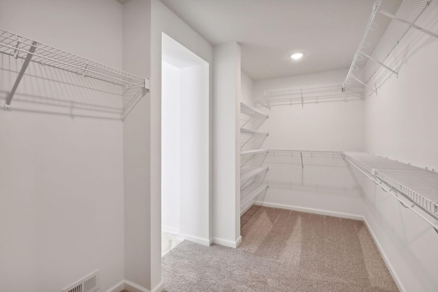 spacious closet featuring carpet floors