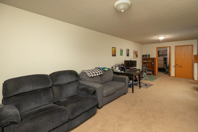 living area with carpet flooring and a textured ceiling