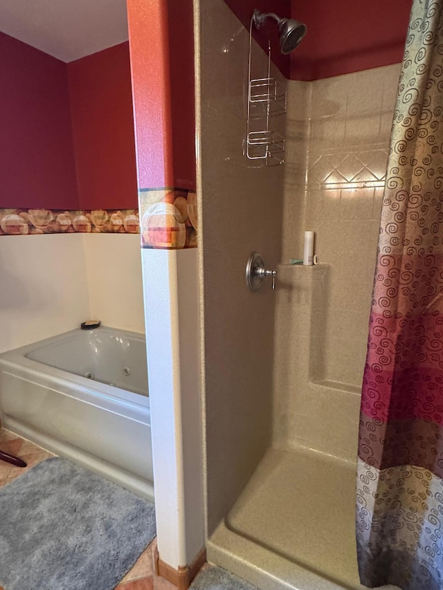 79317 355th St, Clinton, MN 56225 - bathroom with a stall shower and a jetted tub