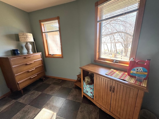 79317 355th St, Clinton, MN 56225 - sitting room featuring baseboards, plenty of natural light, and dark stone finish floors