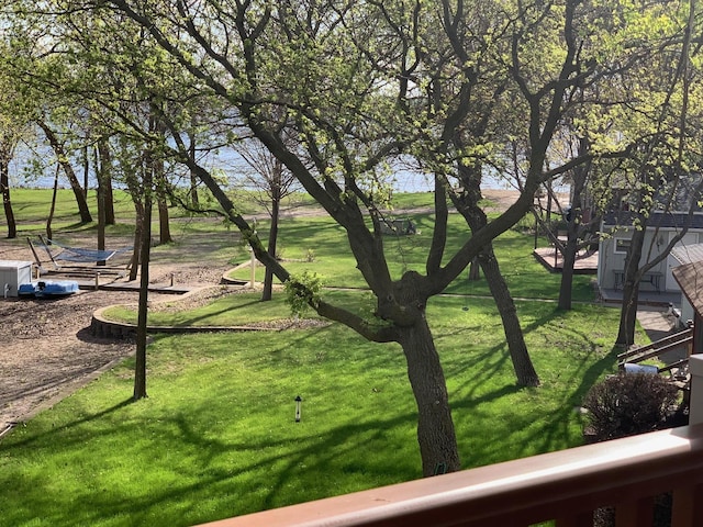 79317 355th St, Clinton, MN 56225 - view of green lawn