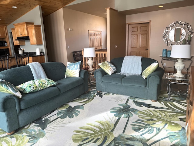 79317 355th St, Clinton, MN 56225 - living room with vaulted ceiling, recessed lighting, and wood ceiling