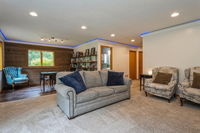 2686 56th Ave, Princeton, MN 55371 - living area featuring carpet, crown molding, recessed lighting, a textured ceiling, and wooden walls