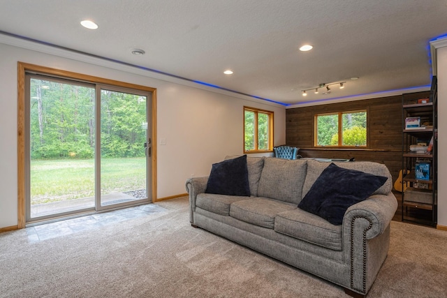 2686 56th Ave, Princeton, MN 55371 - living room with carpet flooring, baseboards, crown molding, and recessed lighting