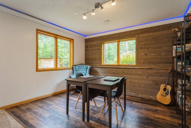 2686 56th Ave, Princeton, MN 55371 - office featuring wooden walls, ornamental molding, a textured ceiling, dark wood-style flooring, and baseboards