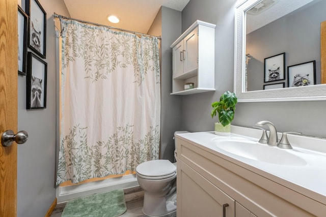 2686 56th Ave, Princeton, MN 55371 - bathroom with toilet, a shower with curtain, wood finished floors, and vanity