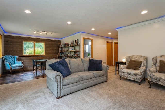 2686 56th Ave, Princeton, MN 55371 - living room with carpet, ornamental molding, recessed lighting, a textured ceiling, and wooden walls