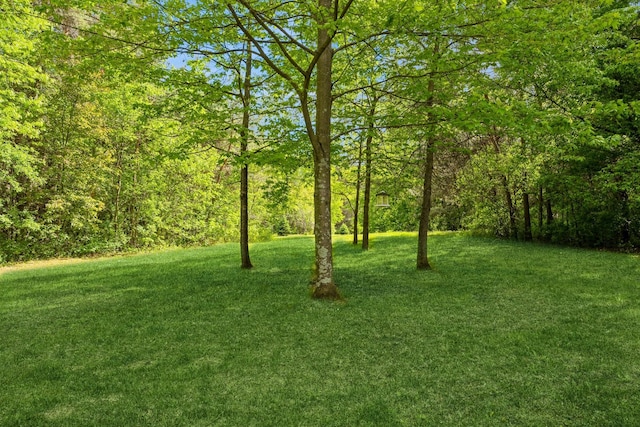 2686 56th Ave, Princeton, MN 55371 - view of green lawn featuring a wooded view