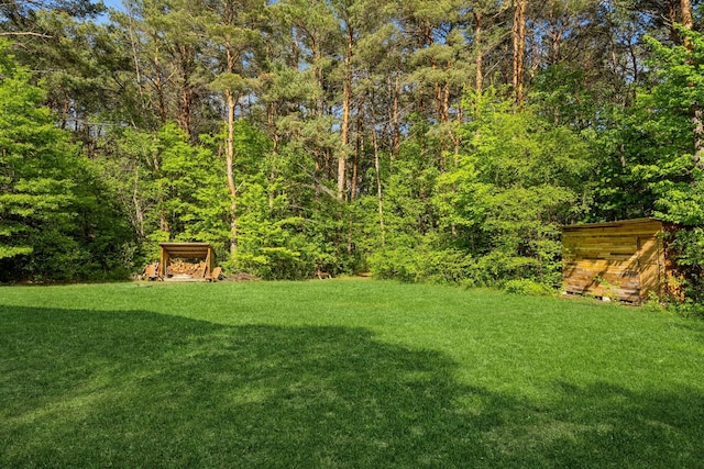 2686 56th Ave, Princeton, MN 55371 - view of grassy yard with a wooded view