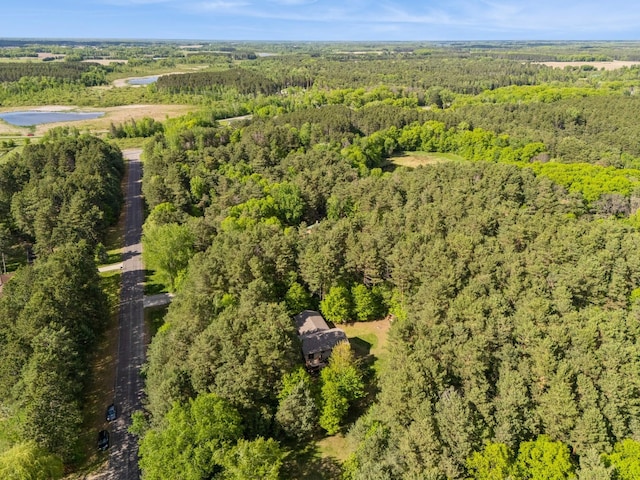 2686 56th Ave, Princeton, MN 55371 - drone / aerial view of a forest and a nearby body of water