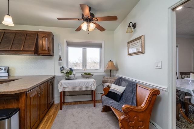 118 Golf Ter, Crookston, MN 56716 - living area with a ceiling fan, light wood-style flooring, and a baseboard radiator