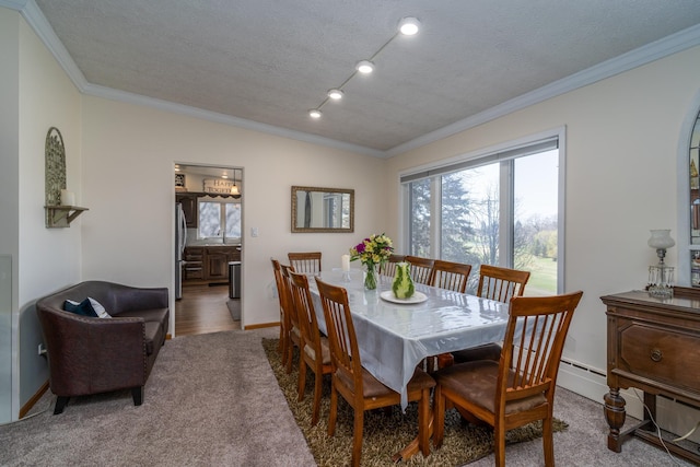 118 Golf Ter, Crookston, MN 56716 - carpeted dining room featuring baseboards, ornamental molding, and a textured ceiling