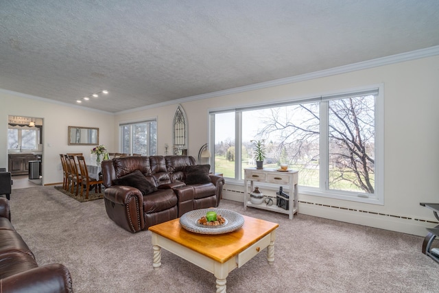 118 Golf Ter, Crookston, MN 56716 - carpeted living room with a textured ceiling, a baseboard heating unit, and ornamental molding