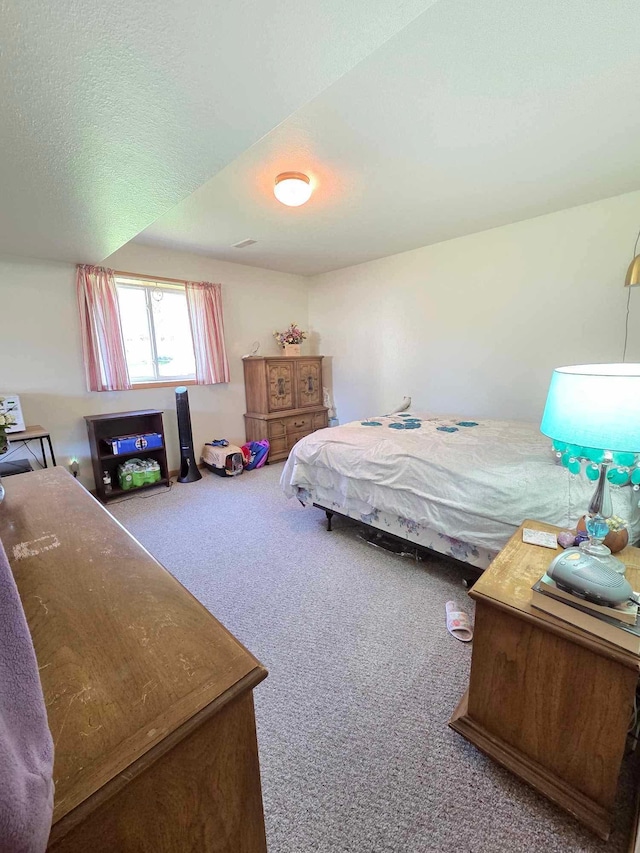 313 Saehler Dr, Goodview, MN 55959 - view of carpeted bedroom