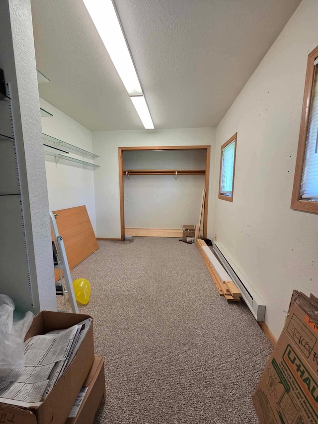 313 Saehler Dr, Goodview, MN 55959 - interior space featuring a baseboard radiator and carpet