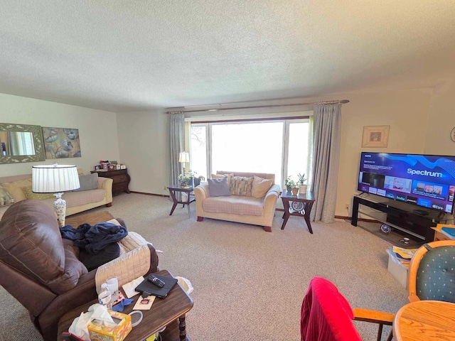 313 Saehler Dr, Goodview, MN 55959 - carpeted living room with a textured ceiling and baseboards
