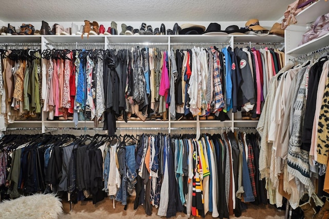 view of spacious closet