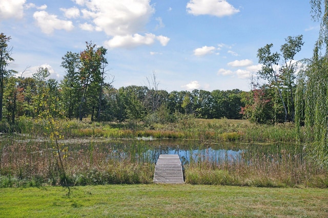 dock area featuring a water view