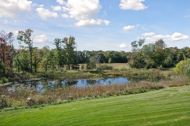 3464 172nd Ln NE, Ham Lake, MN 55304 - water view