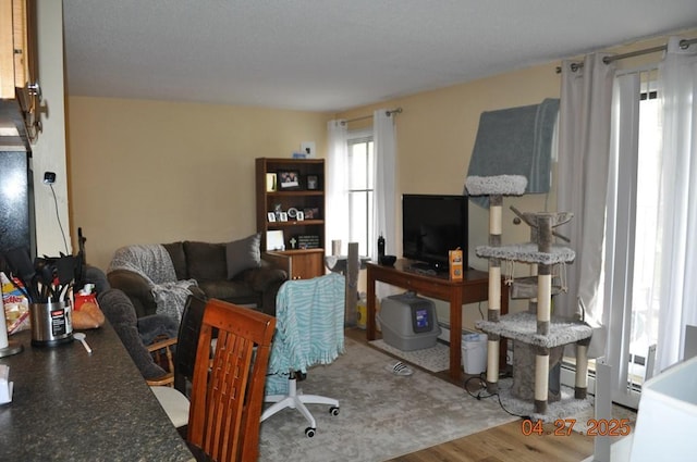 living room with baseboard heating and wood finished floors