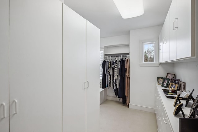 view of spacious closet