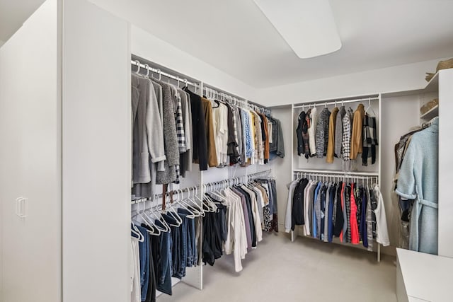 spacious closet featuring carpet