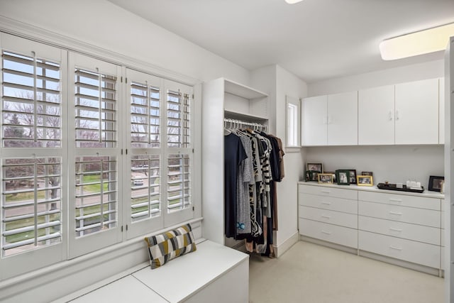view of walk in closet