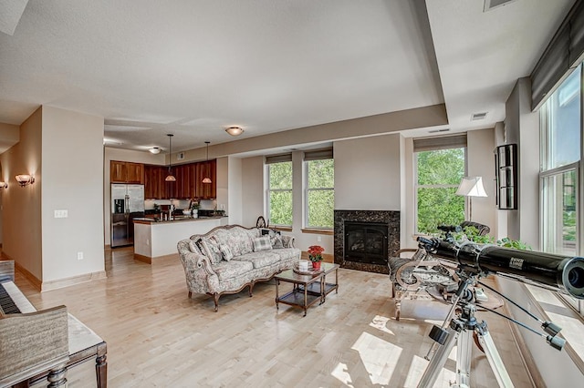 650 Main St N Unit 308, Stillwater, MN 55082 - living room featuring light wood-type flooring, a high end fireplace, and baseboards
