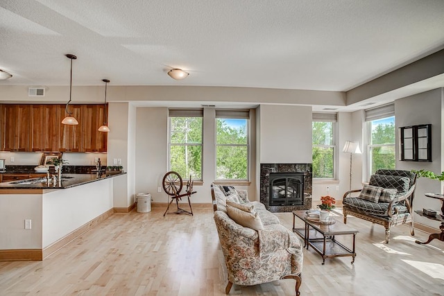 650 Main St N Unit 308, Stillwater, MN 55082 - living room featuring light wood-type flooring, baseboards, a fireplace, and a textured ceiling