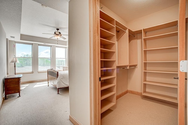 650 Main St N Unit 308, Stillwater, MN 55082 - walk in closet featuring carpet flooring and a ceiling fan