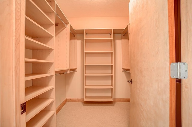 650 Main St N Unit 308, Stillwater, MN 55082 - view of spacious closet