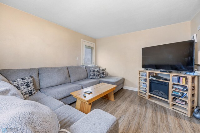 living room with baseboards and wood finished floors