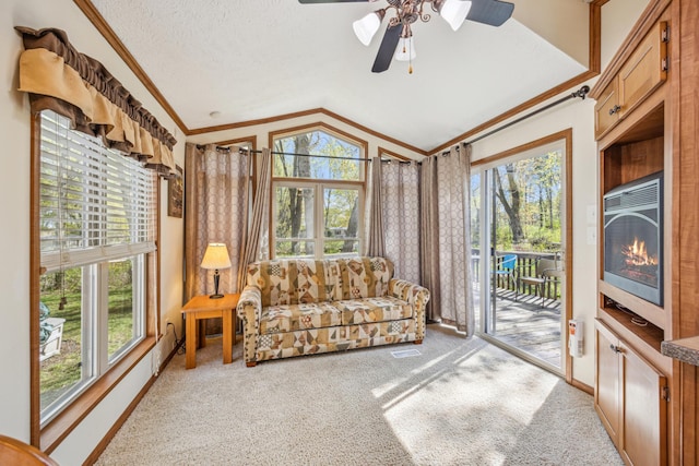 18096 Browns Lake Rd Unit 2, Eden Lake Twp, MN 56368 - sunroom / solarium featuring vaulted ceiling, carpet flooring, ornamental molding, healthy amount of natural light, and baseboards