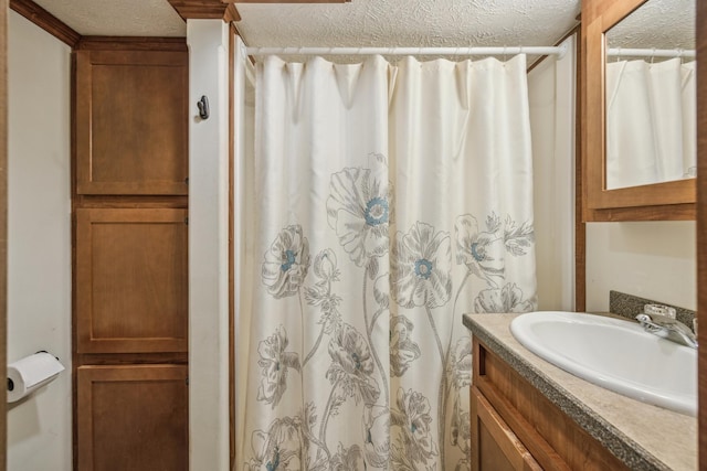 18096 Browns Lake Rd Unit 2, Eden Lake Twp, MN 56368 - bathroom with a textured ceiling, vanity, and a shower with curtain