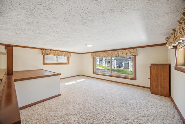 18096 Browns Lake Rd Unit 2, Eden Lake Twp, MN 56368 - carpeted spare room featuring crown molding and baseboards