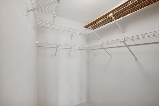 view of spacious closet