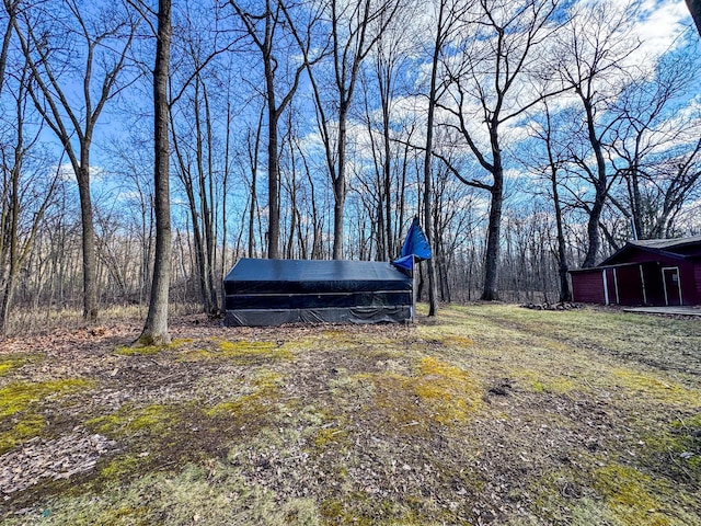 view of yard with an outdoor structure
