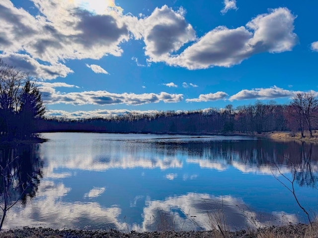 property view of water featuring a forest view