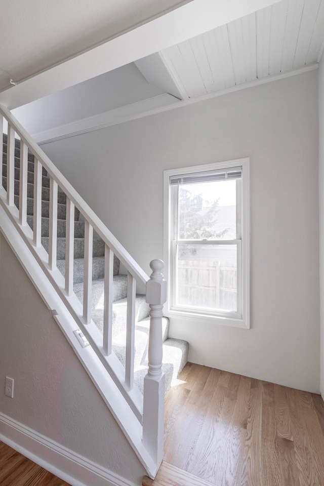 stairway featuring wood finished floors