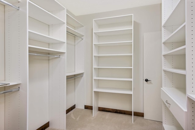 12891 Xylite St NE, Blaine, MN 55449 - walk in closet featuring light carpet