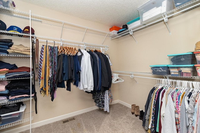 spacious closet featuring carpet flooring