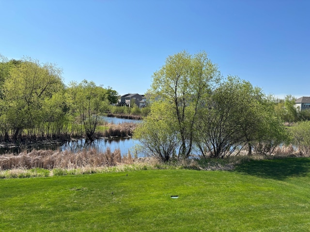 water view