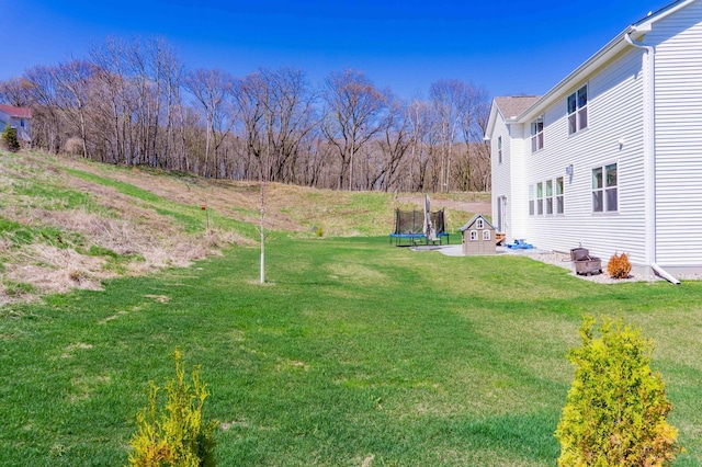 view of yard with a trampoline