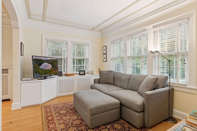 26 Mississippi River Blvd N, Saint Paul, MN 55104 - living room with healthy amount of natural light, radiator heating unit, and light wood finished floors