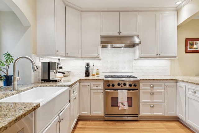 26 Mississippi River Blvd N, Saint Paul, MN 55104 - kitchen featuring high end stainless steel range oven, under cabinet range hood, a sink, light wood-style flooring, and backsplash
