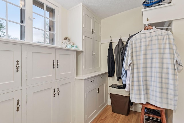26 Mississippi River Blvd N, Saint Paul, MN 55104 - walk in closet featuring light wood-style floors