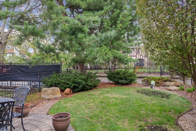 26 Mississippi River Blvd N, Saint Paul, MN 55104 - view of yard with a patio