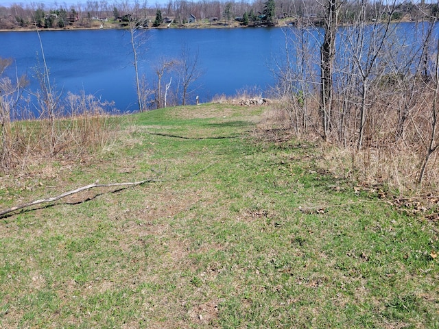 1766 White Ash Dr, Apple River Twp, WI 54810