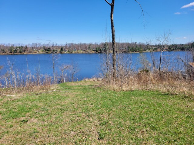 1766 White Ash Dr, Apple River Twp, WI 54810